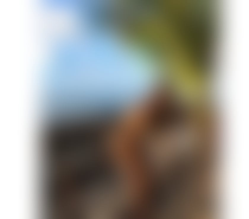 Hot brunette 🔥 NEW