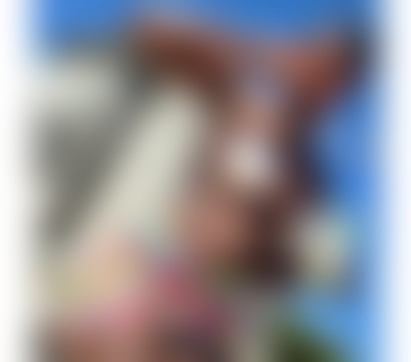 Escorts Staffordshire Stoke-on-Trent - Photos for Beautiful Guinean woman in your city