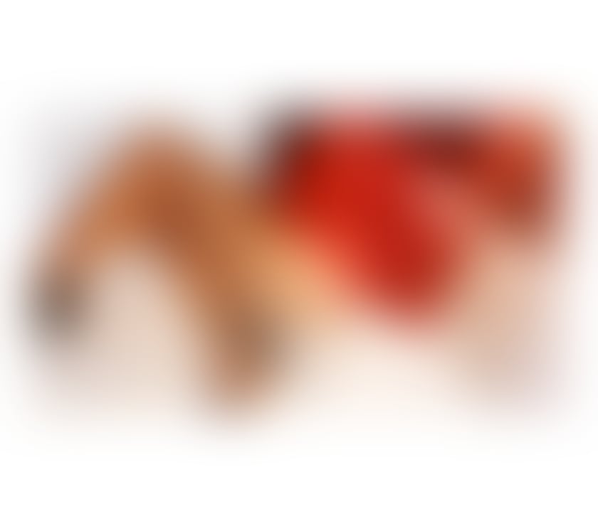 Escorts West Yorkshire Bradford - Photos for Bd8 FULL GFE WITH A GENUINE BRITISH BABE