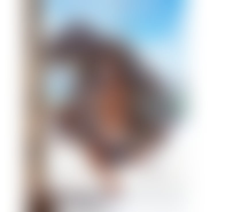 Trans Escorts Leicestershire Leicester - Photos for Lexa in Leicester 🔥 sensual, unforgettable, just for yo