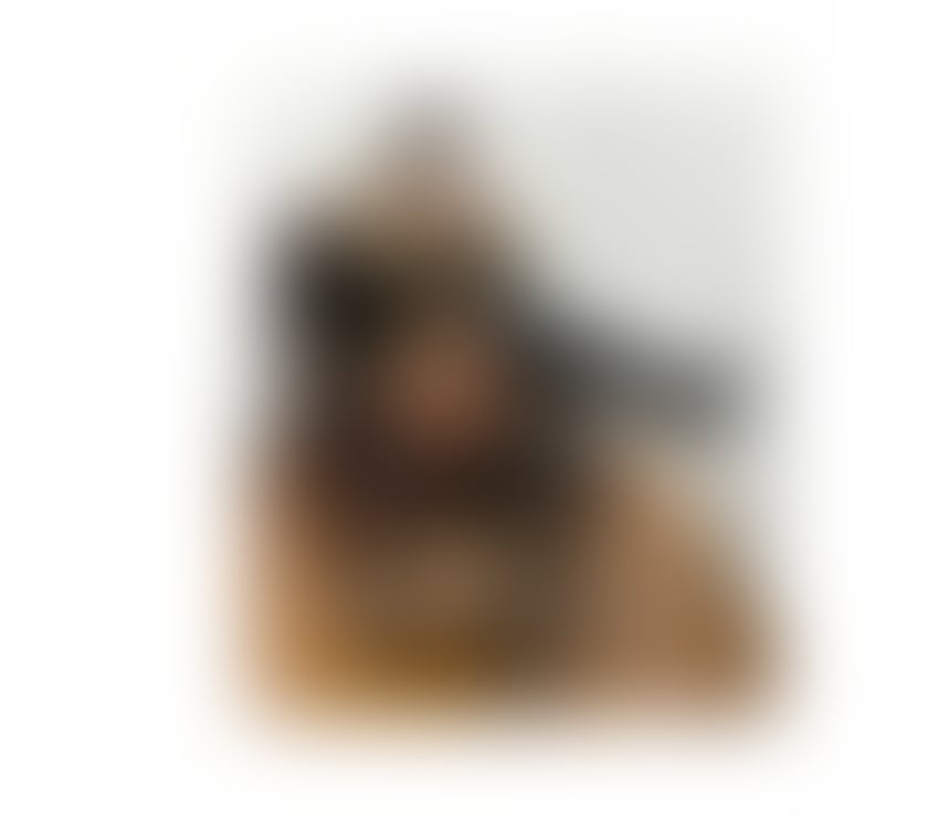 Escorts Colindale North West London - Photos for Leyla 100% Geniune girl