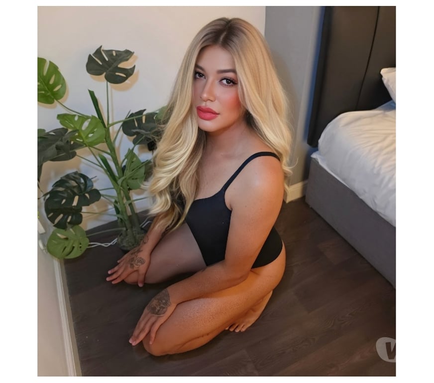 Trans Escorts Hertfordshire Dacorum - Photos for Ts Ashley hot brasilian 🇧🇷🇧🇷