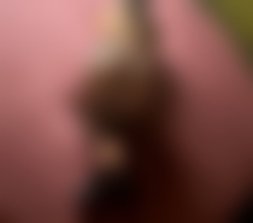 Escorts Tyne and Wear Sunderland - Photos for Now escort in your city real photo best serive