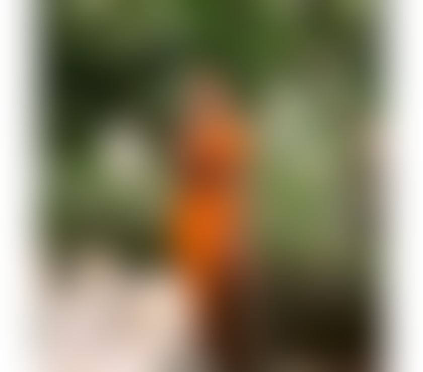 Escorts Torquay Torbay - Photos for NATY 🍑😍 NEW IN THE CITY 👅UNIQUE EXPERIENCE👌😍S