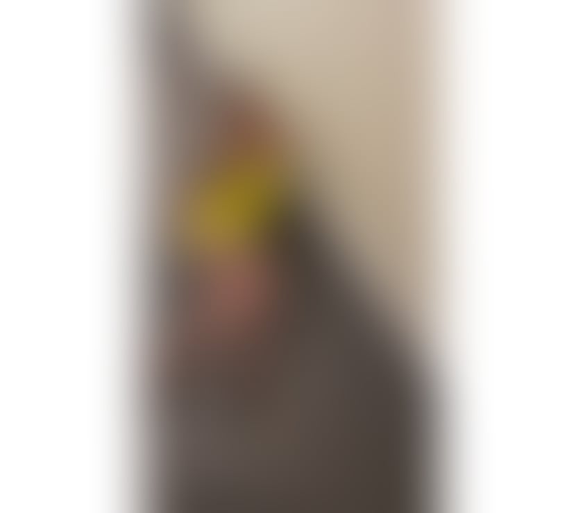 Escorts West London Hillingdon - Photos for ❤️New in tonw HannahParty🎀