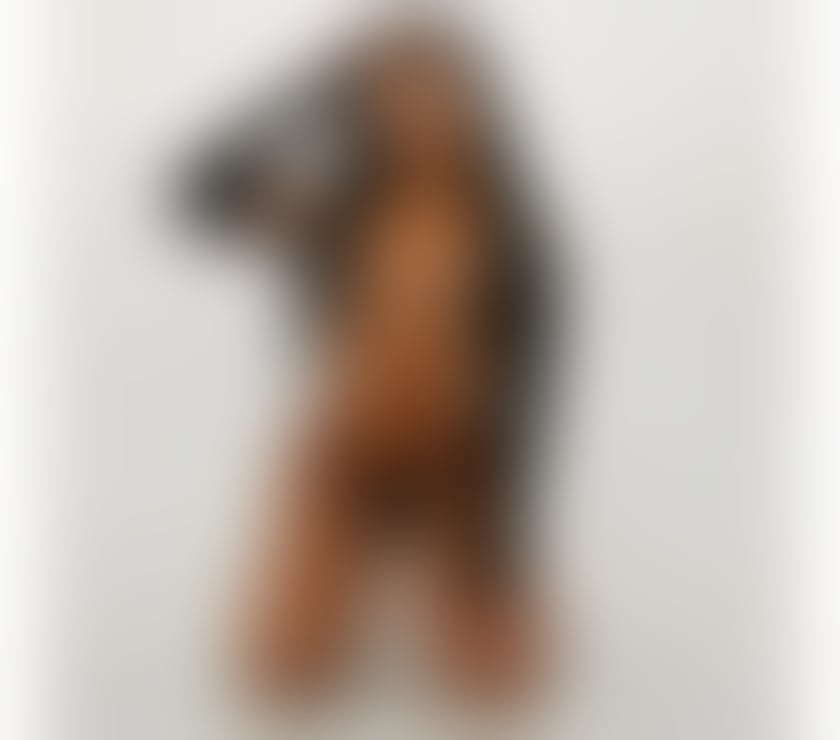 Escorts Dorset Bournemouth, Christchurch and Poole - Photos for Stunning New Brazilian escort Aline ELITE companion