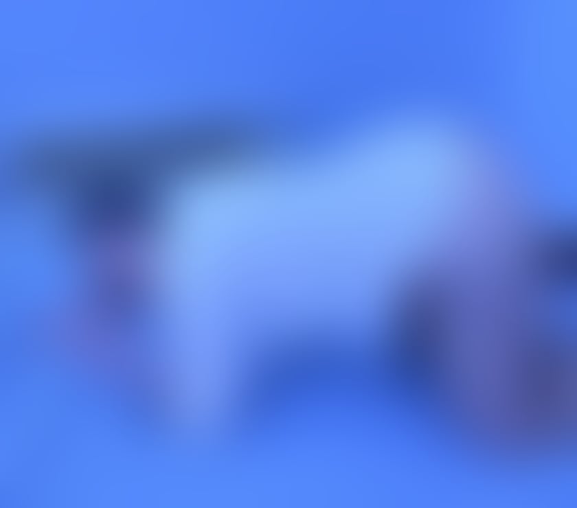 Escorts Leicester City Centre Leicester - Photos for Hey my name Luna new town