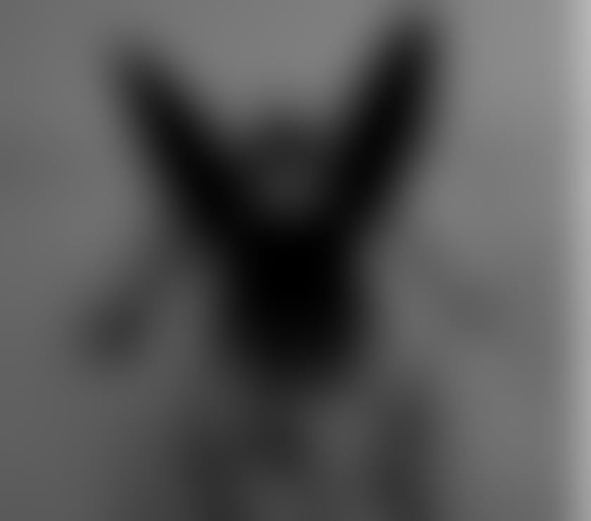 Trans Escorts West Midlands Birmingham - Photos for Kass French TS 100% REAL XXL Party