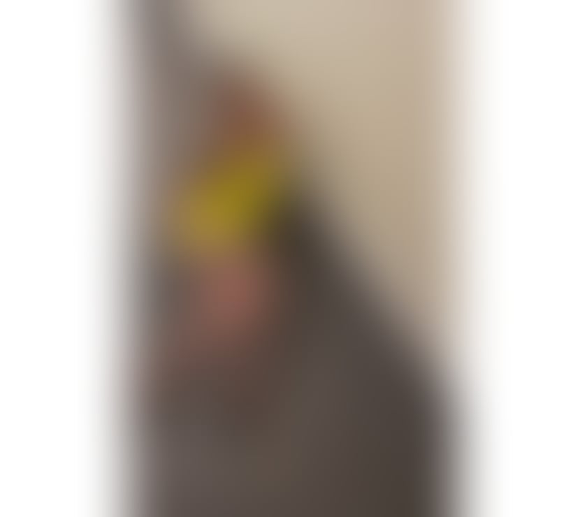 Escorts West London Hillingdon - Photos for ✅New In Town Hanna Party✅