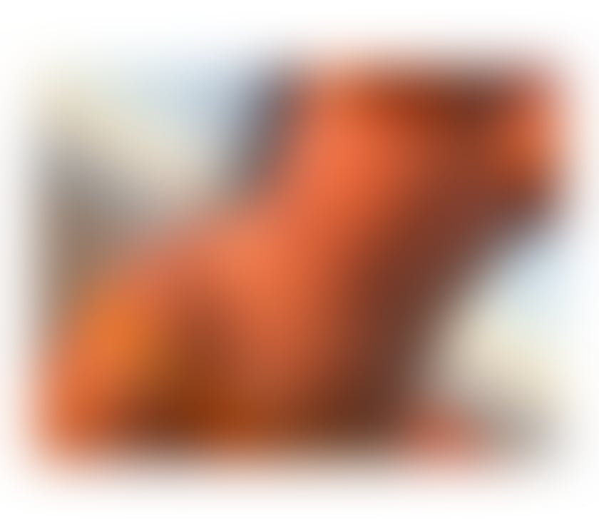 Trans Escorts South West London Battersea - South West London - Photos for Brazilian Alana Fidelis