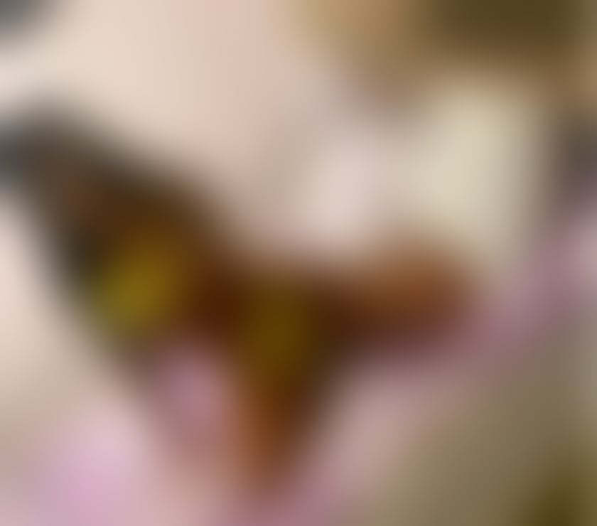 Escorts Devon Plymouth - Photos for Maya NEW IN TOWN ❤️ BEST SERVICE