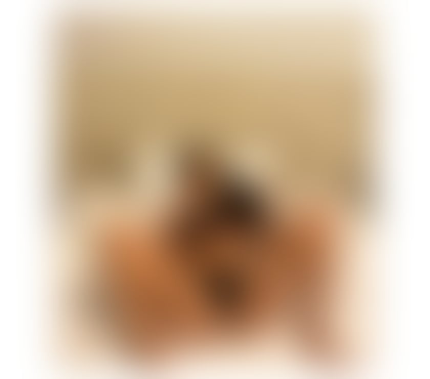 Escorts Devon Exeter - Photos for Party girl x let's have fuunnn