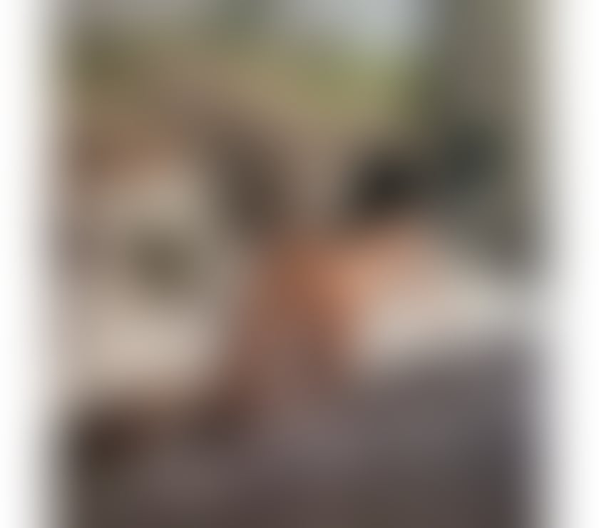 Escorts Falkirk Falkirk Town Centre - Falkirk - Photos for New profesional girl is in your town