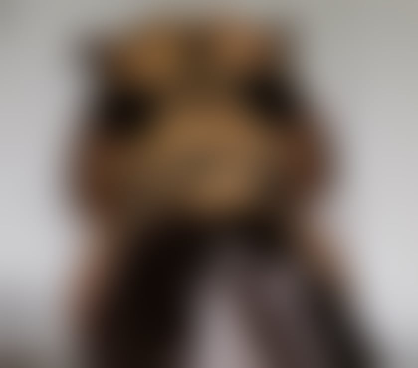 Escorts West Midlands Birmingham - Photos for Lexi 100% British brunette party girl (always working)