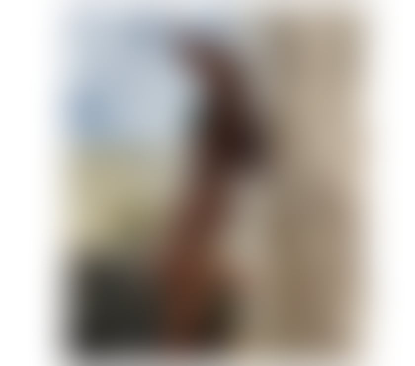 Escorts Central London Blackfriars - Central London - Photos for Brown skin Barbie Alexis 🫦