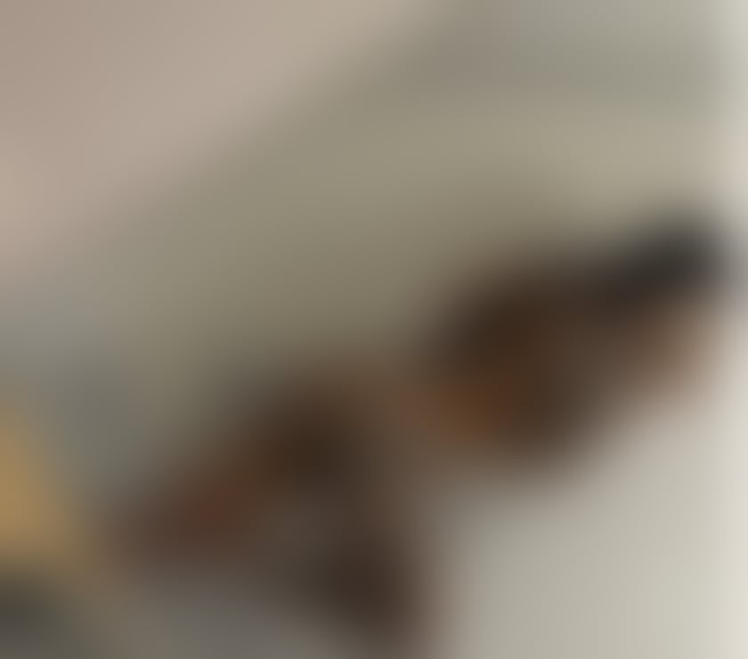 Escorts West Sussex Horsham - Photos for JUST ARRIVED IN YOUR CITY❤️💯CALL ME📞❤️‍🔥