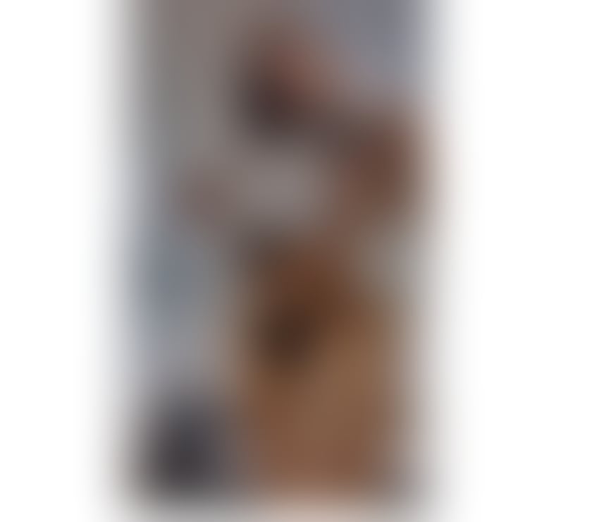 Escorts Iffley Oxford - Photos for Tired fake?🧡 Dani 🦊 💯 % REAL! BEST GFE 24H