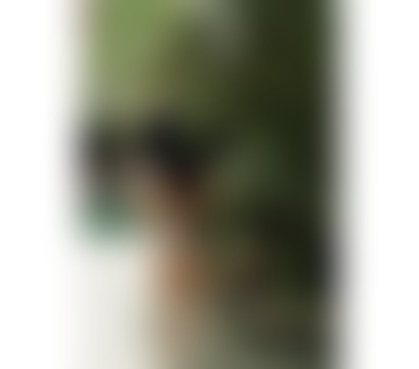 Escorts East London Canning Town - East London - Photos for Zoe 🇧🇷 New in town ❤️ party girl 🔥