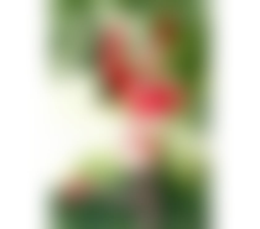 Trans Escorts Edinburgh Edinburgh - Photos for TS ELEKTRA , THE BEST WAY TO
