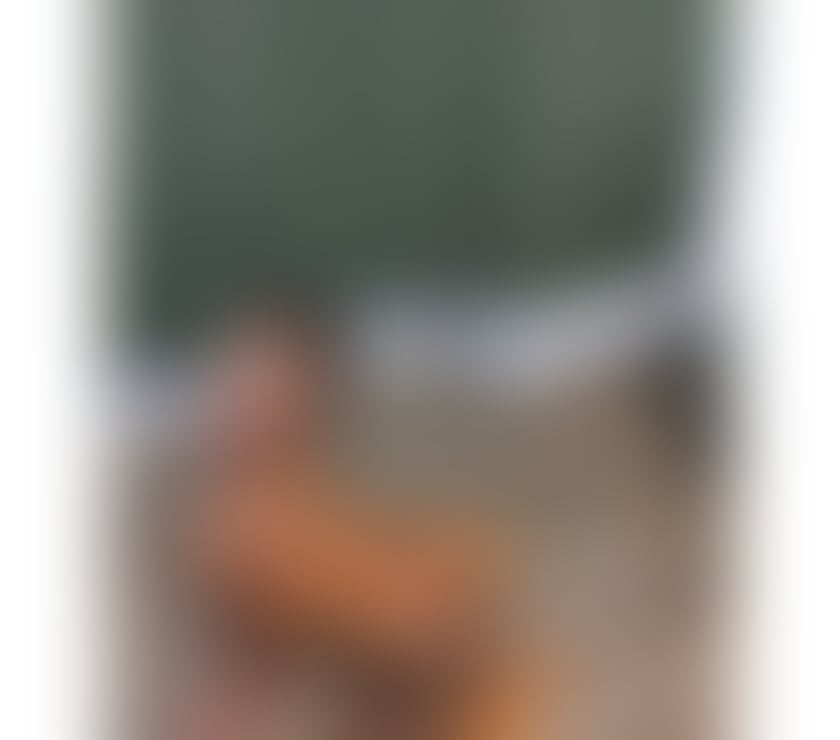 Escorts Caerphilly - Wales Aberbargoed - Caerphilly - Photos for New end Town PARTY GIRLS