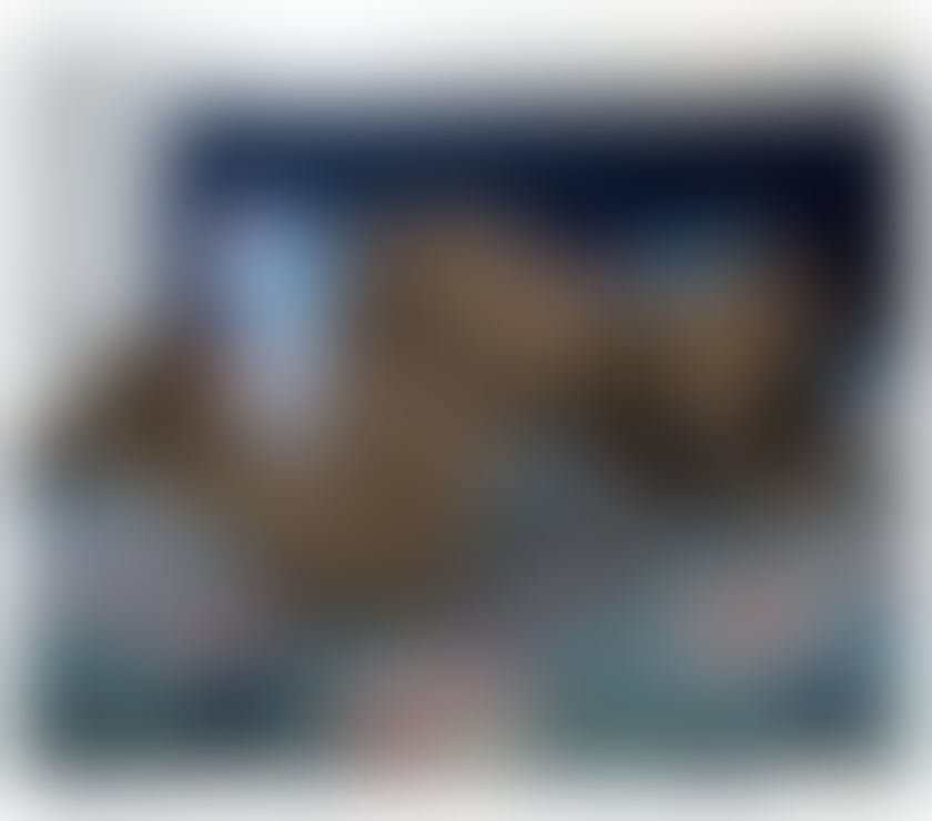 Escorts Dumfries and Galloway Dumfries - Dumfries and Galloway - Photos for Incalls and outcalls❤️ party girl