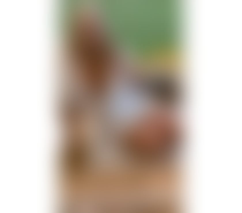 Escorts Essex Colchester - Photos for Busty Maggie 🤩Colchester 🫦this week 🗣️