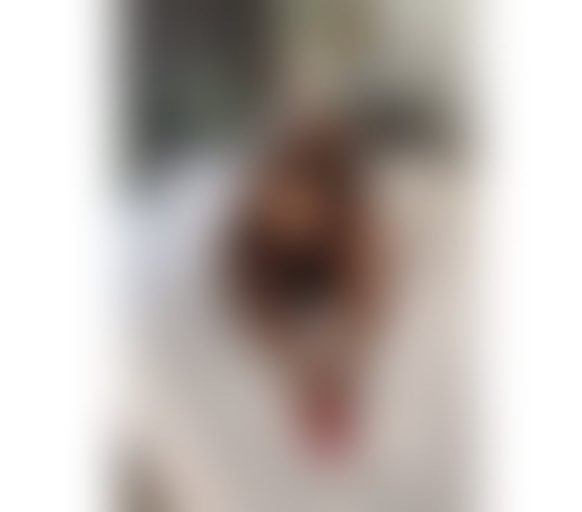 Trans Escorts Middlesbrough Town Centre Middlesbrough - Photos for NATASHA IN TOWN NO RUSH TS GIRL GENUINE