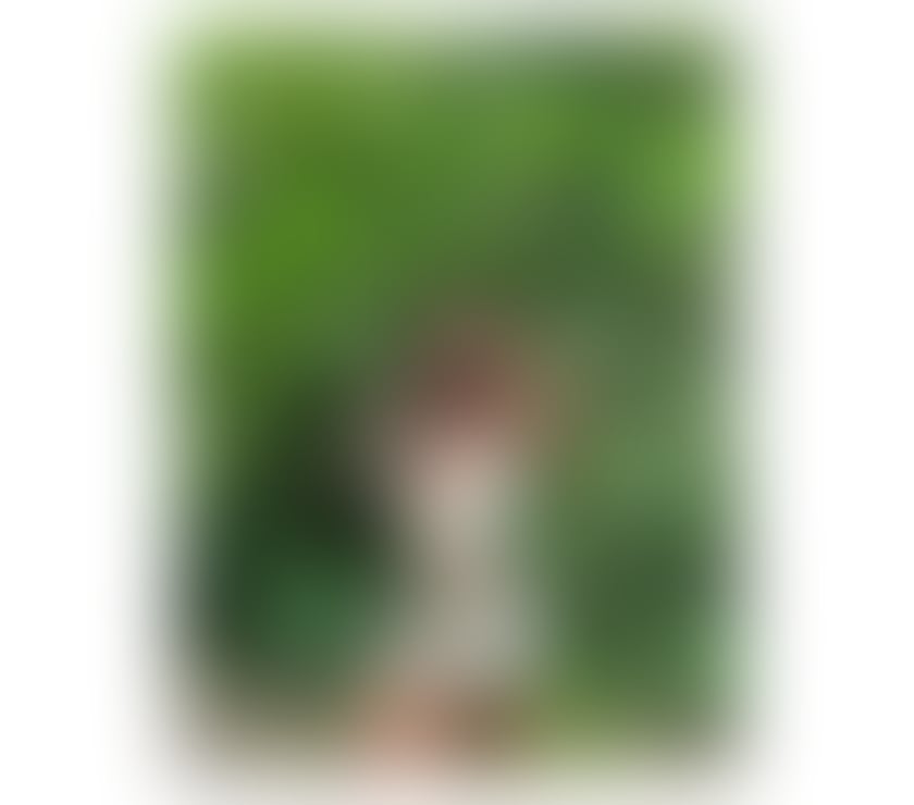 Escorts Peterborough Peterborough City Centre - Peterborough - Photos for BELLA A UNIQUE EXPERIENCE📍IN THE CITY✨🔥💋