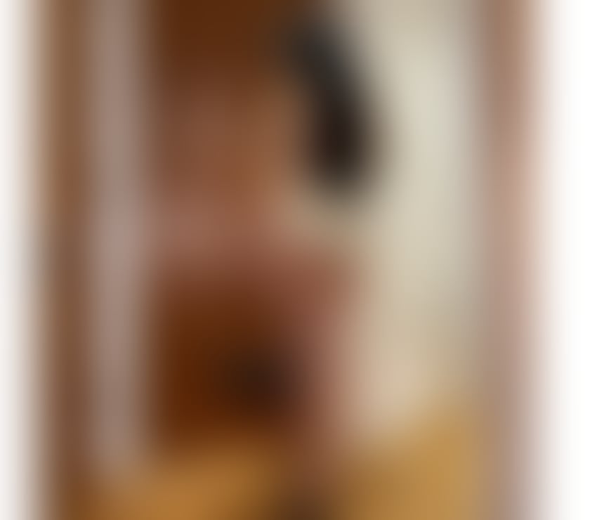 🇧🇷🇧🇷SOPHIA 🇧🇷🇧🇷