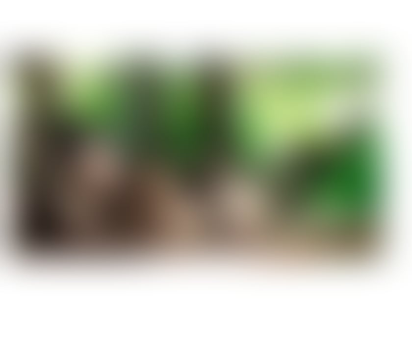 Escorts Glasgow Glasgow City Centre - Glasgow - Photos for 🔥🍑New Cloe🍑🔥😘