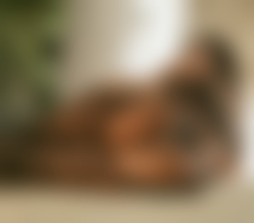 Escorts Leicestershire Charnwood - Photos for 🔞🇧🇷MELISSA IN TOWN 🆕 GFE 🔞REAL PIC