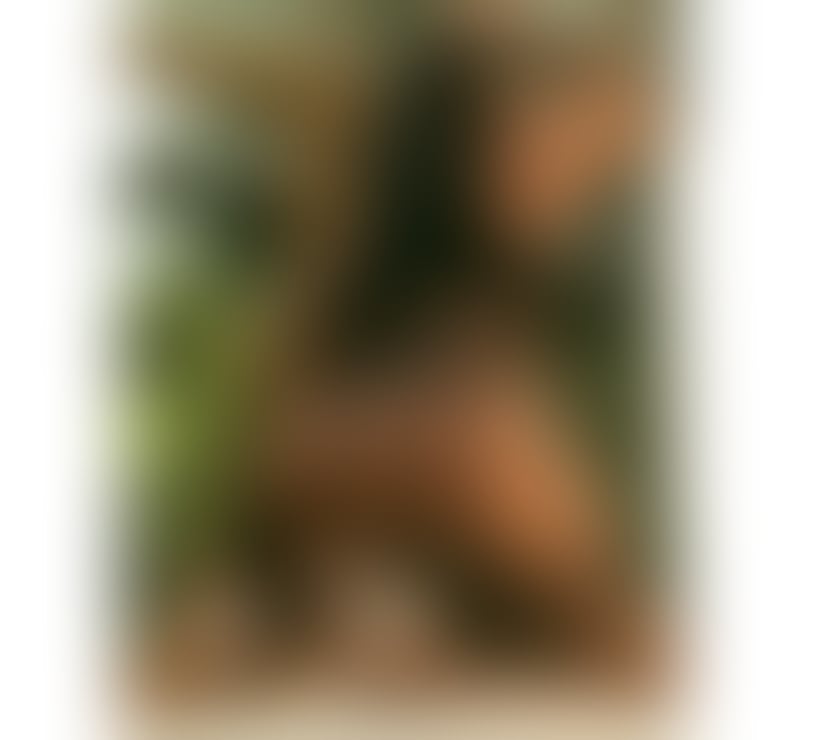 Escorts Leicestershire Charnwood - Photos for 🔞🇧🇷MELISSA IN TOWN 🆕 GFE 🔞REAL PIC