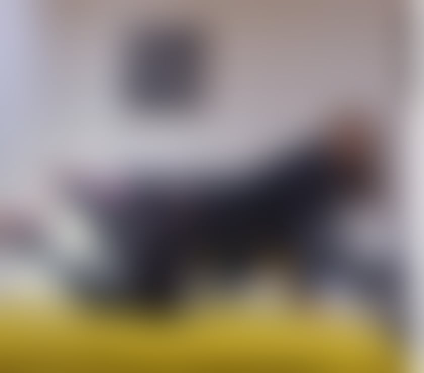 Trans Escorts Bristol Bristol City Centre - Bristol - Photos for Eva💃Totally professional, naughty and ready for you😍