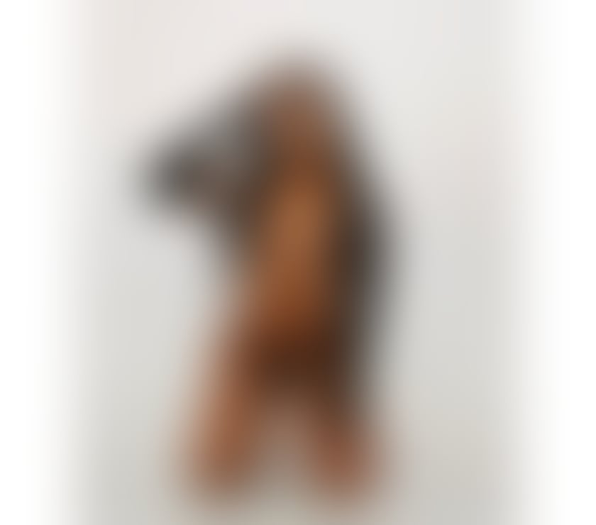 Escorts Slough Farnham Royal - Slough - Photos for SEXY PABLINNY ✨ PERFECT BODY🇧🇷 40£