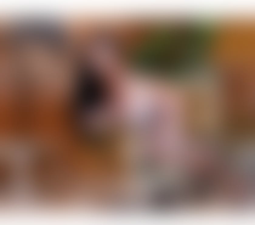 Trans Escorts Oxfordshire Oxford - Photos for Grazyellen 🔥 Top 🍆 Bottom 🍑