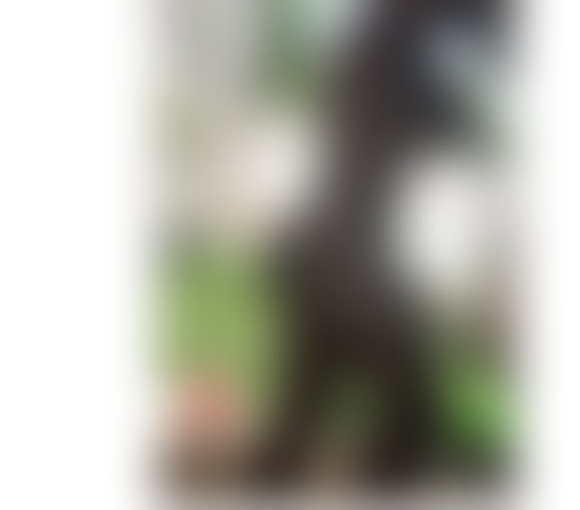 Escorts West Sussex Worthing - Photos for Barbara curve big ass big boobs