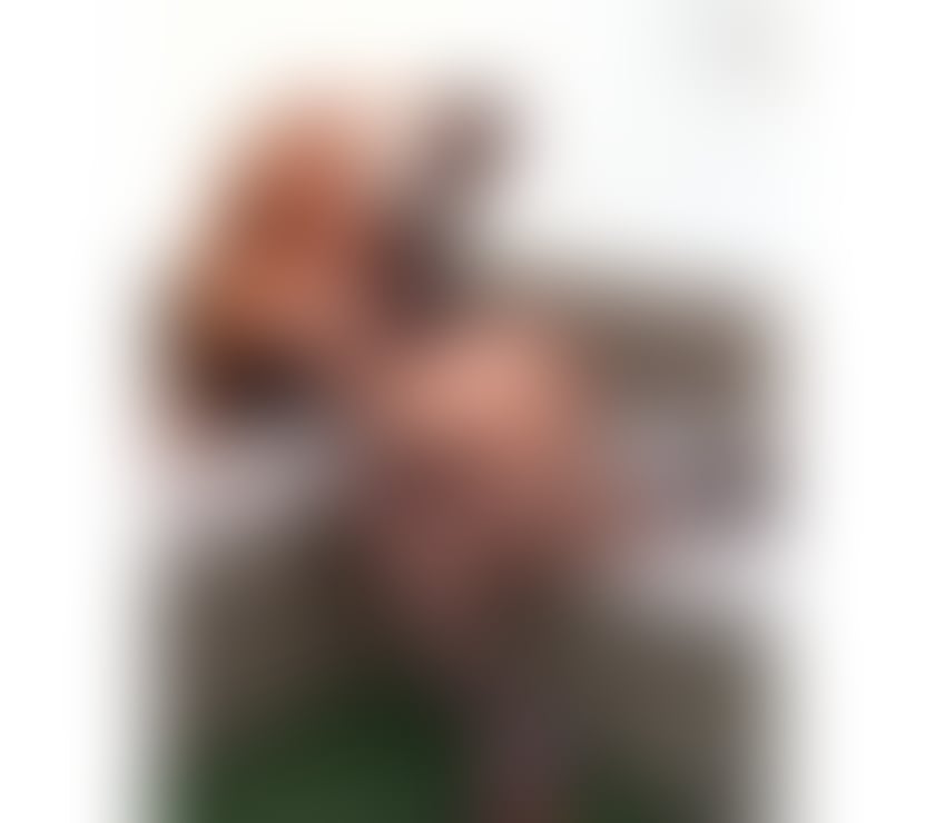 Trans Escorts Tyne and Wear Sunderland - Photos for ✨Julia Brazilian 🇧🇷 😈