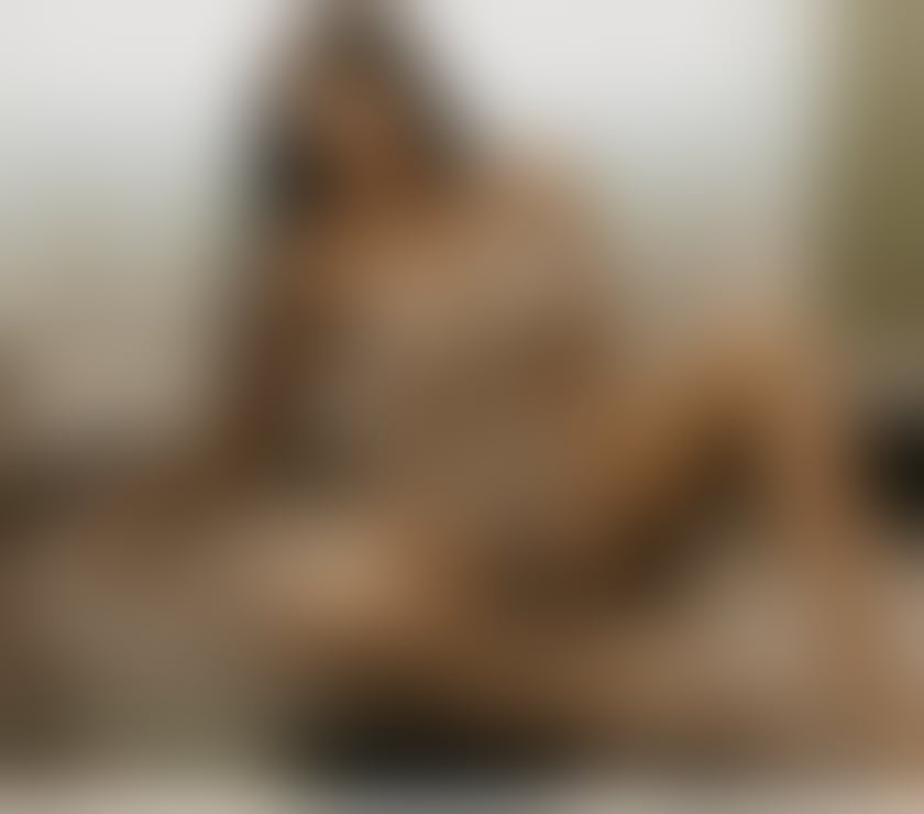 Escorts Greater Manchester Manchester - Photos for Emily25 - GFE - New in Manchester ❤️‍🔥🍑🔞