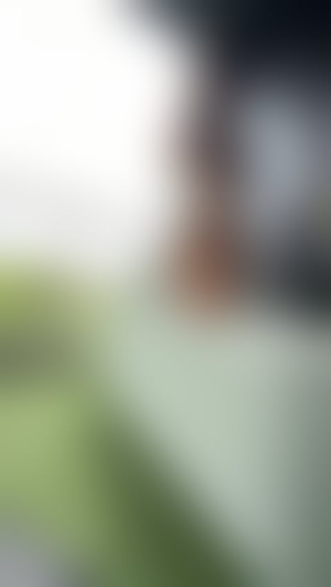 Escorts South Yorkshire Sheffield - 