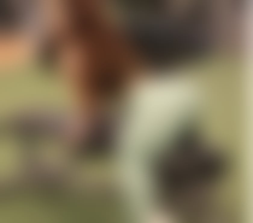 Fetish Escorts & Erotic Massage Worthing Town Centre Worthing - Photos for 😉sexy and sweet🔥