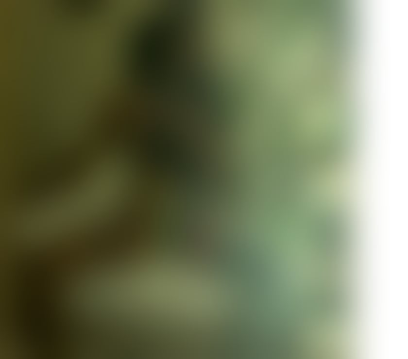 Escorts Buckinghamshire Milton Keynes - Photos for OPE24H🔥TRANS❤ MASSAGE🔥candela party 24h