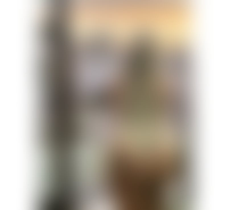 Escorts North London Arnos Grove - North London - Photos for TS BRUNA HOT XXL🍆 PARTY 🎊🎉