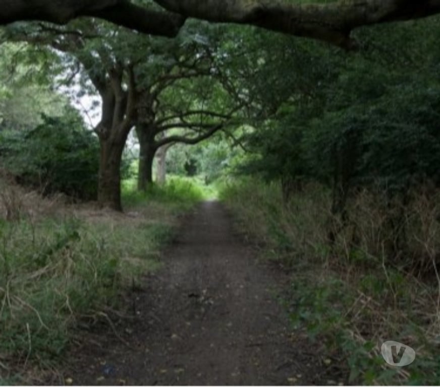 Gay Dating North London Finsbury Park - North London - Photos for Straight Top looking for skilled mouth