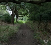 Straight Top looking for skilled mouth