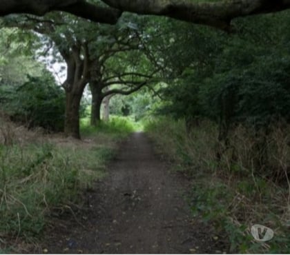 Gay Dating Bruce Grove Station North London - Photos for Straight Top looking for skilled mouth