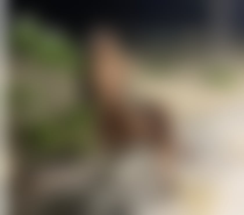 Escorts North London Arnos Grove - North London - Photos for ISABELLA BEAUTIFUL PETITE LATINA😈🔥