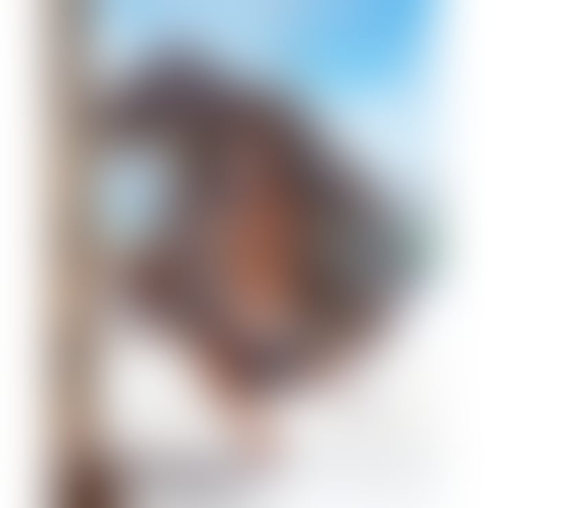 Trans Escorts West Midlands Coventry - Photos for Lexa in Coventry |Friendly and reliable