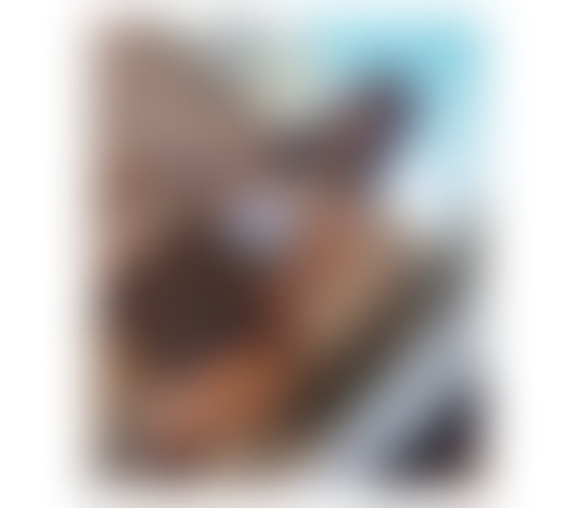 INC&OUT❤️Domination😛Role Play🥵BEST🤩👅PARTY