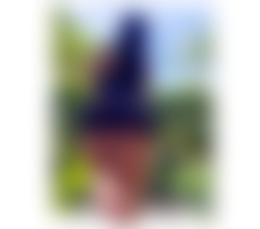 Escort Rugby Town Centre Rugby - Photos for NEW!🔝BIA🔝HERE TO FULFILL YOU🔝A LEVEL'S