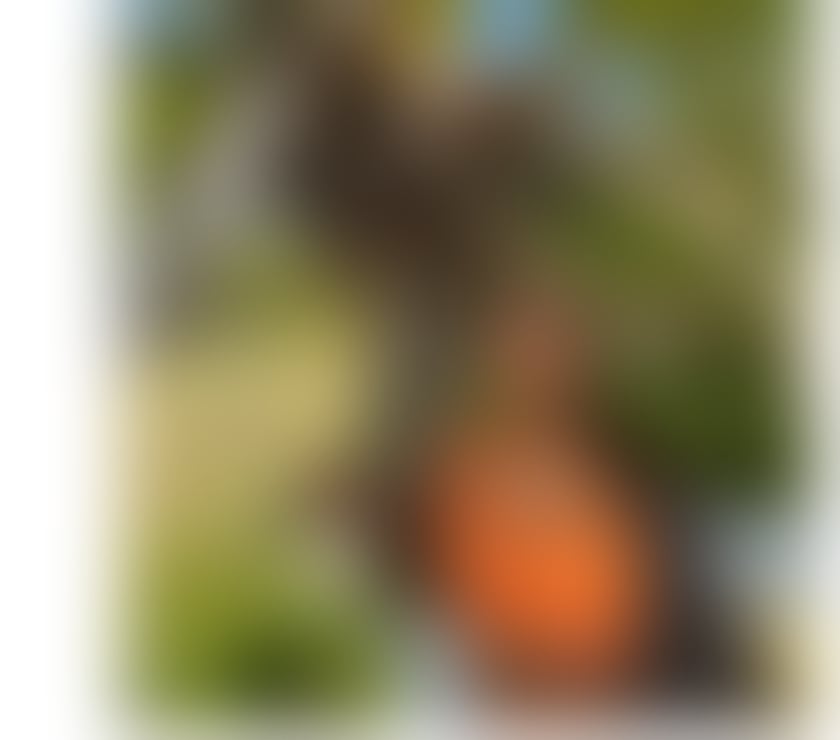 🔥New girl in town, 🔥full service💦